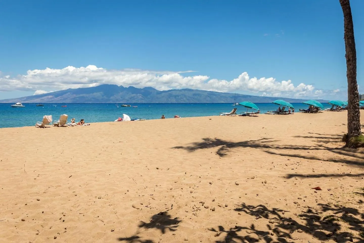 Yonegan Central Maui Getaways Wailuku Apartment