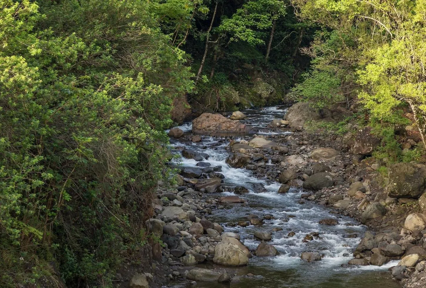 Yonegan Central Maui Getaways Wailuku United States
