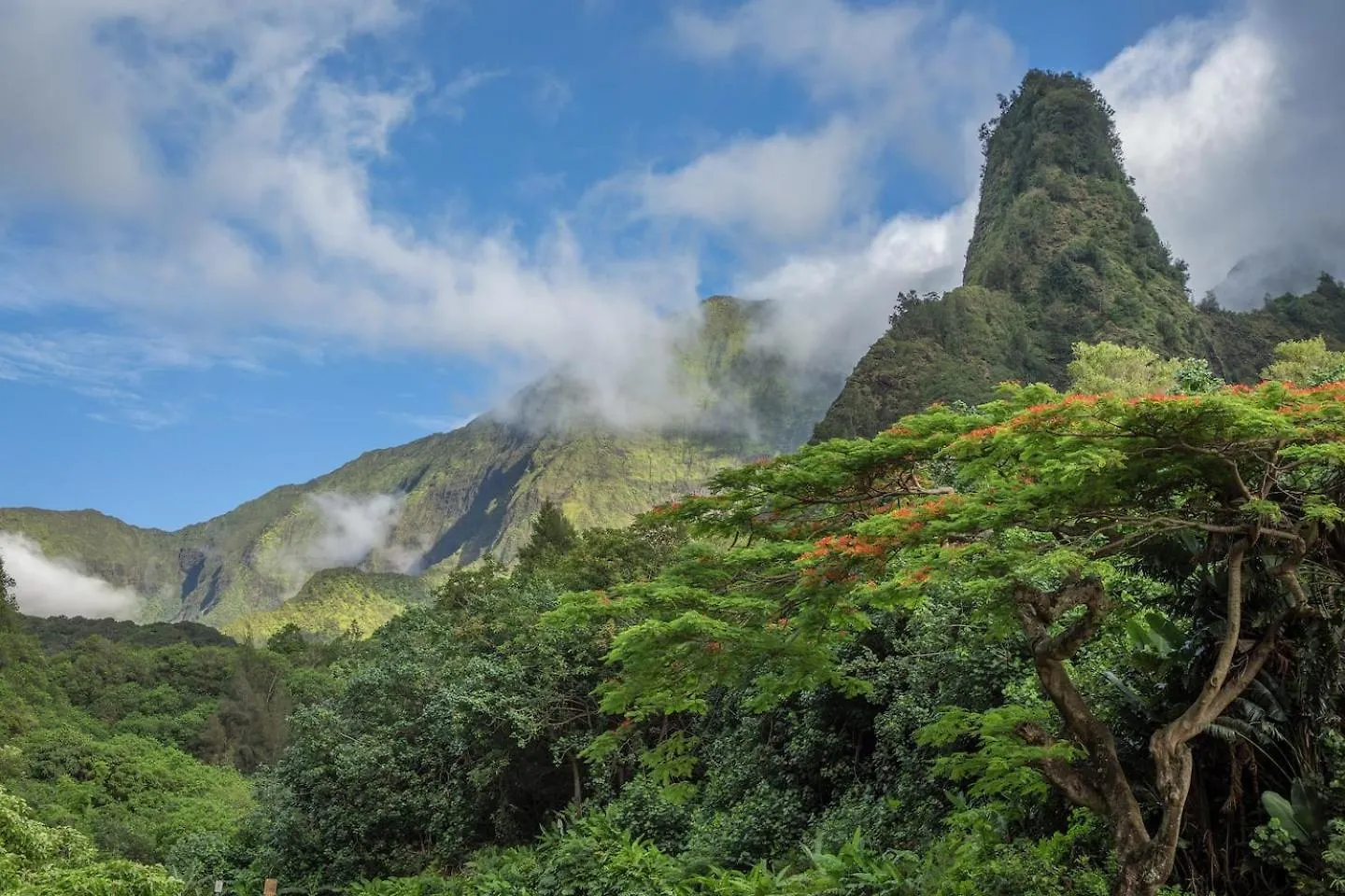 Yonegan Central Maui Getaways Wailuku