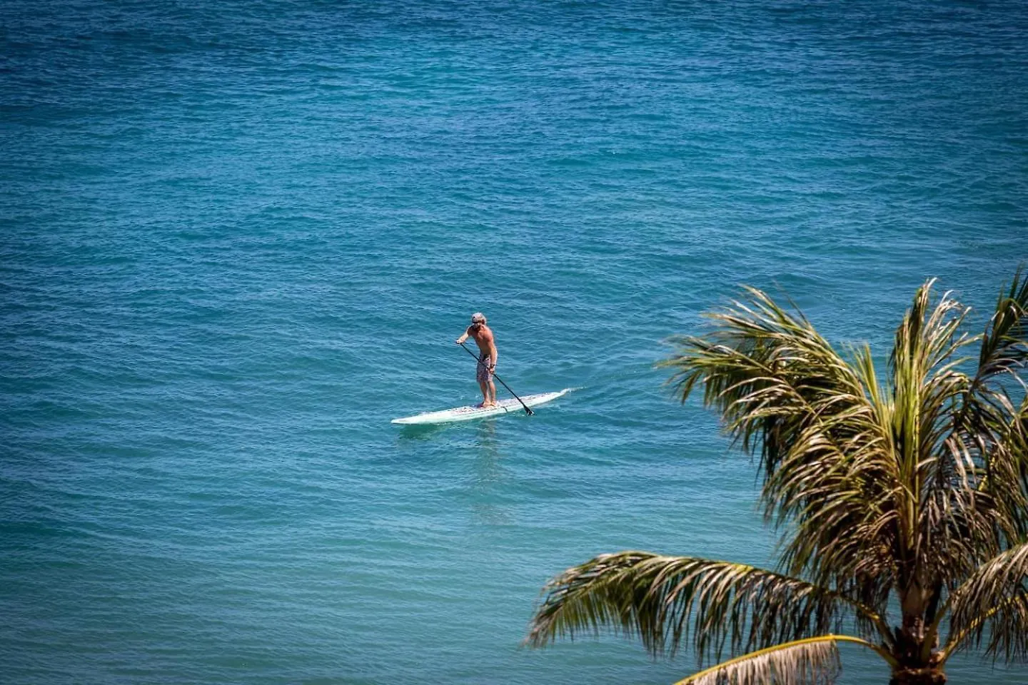 Yonegan Central Maui Getaways Wailuku Apartment