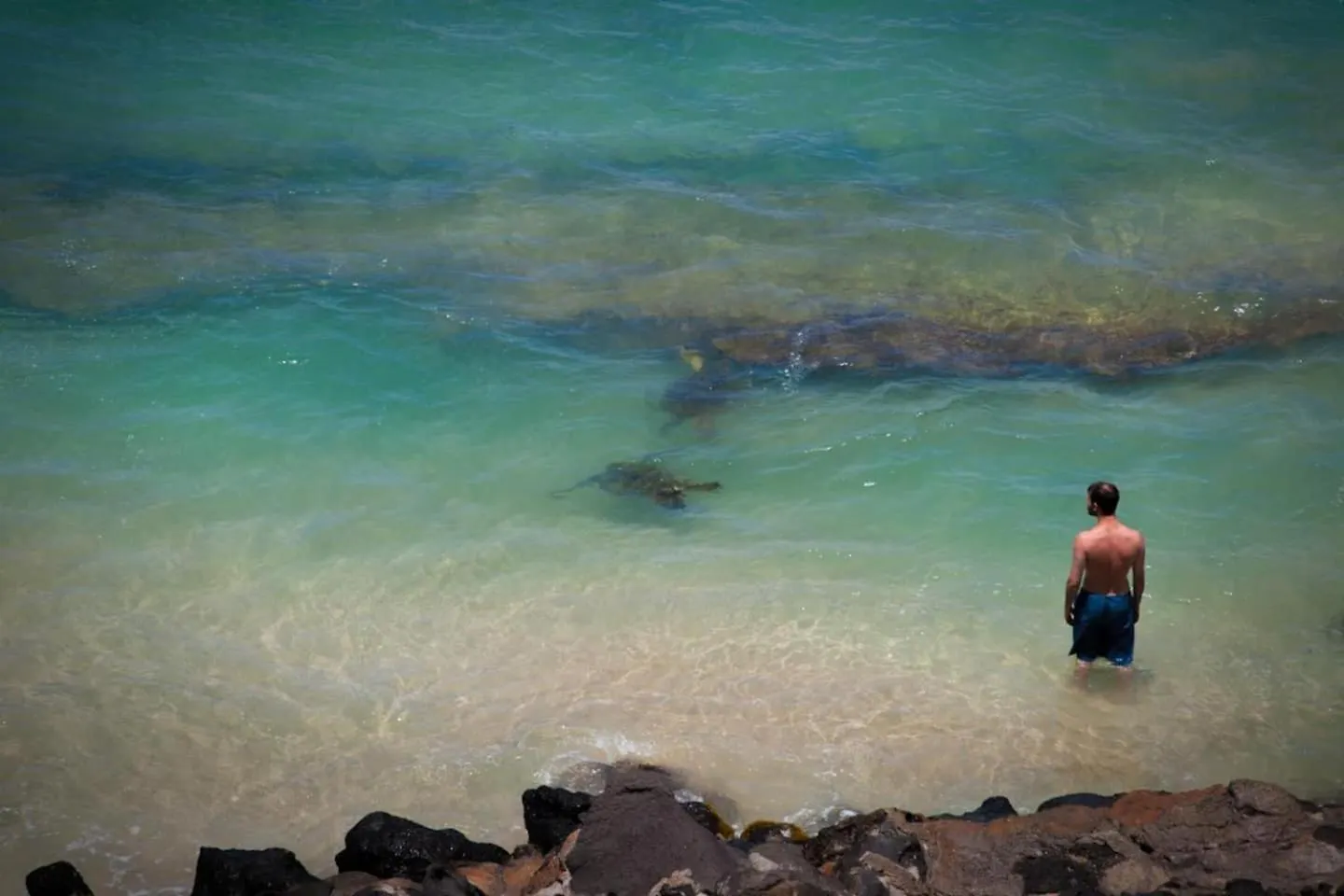 Yonegan Central Maui Getaways Wailuku