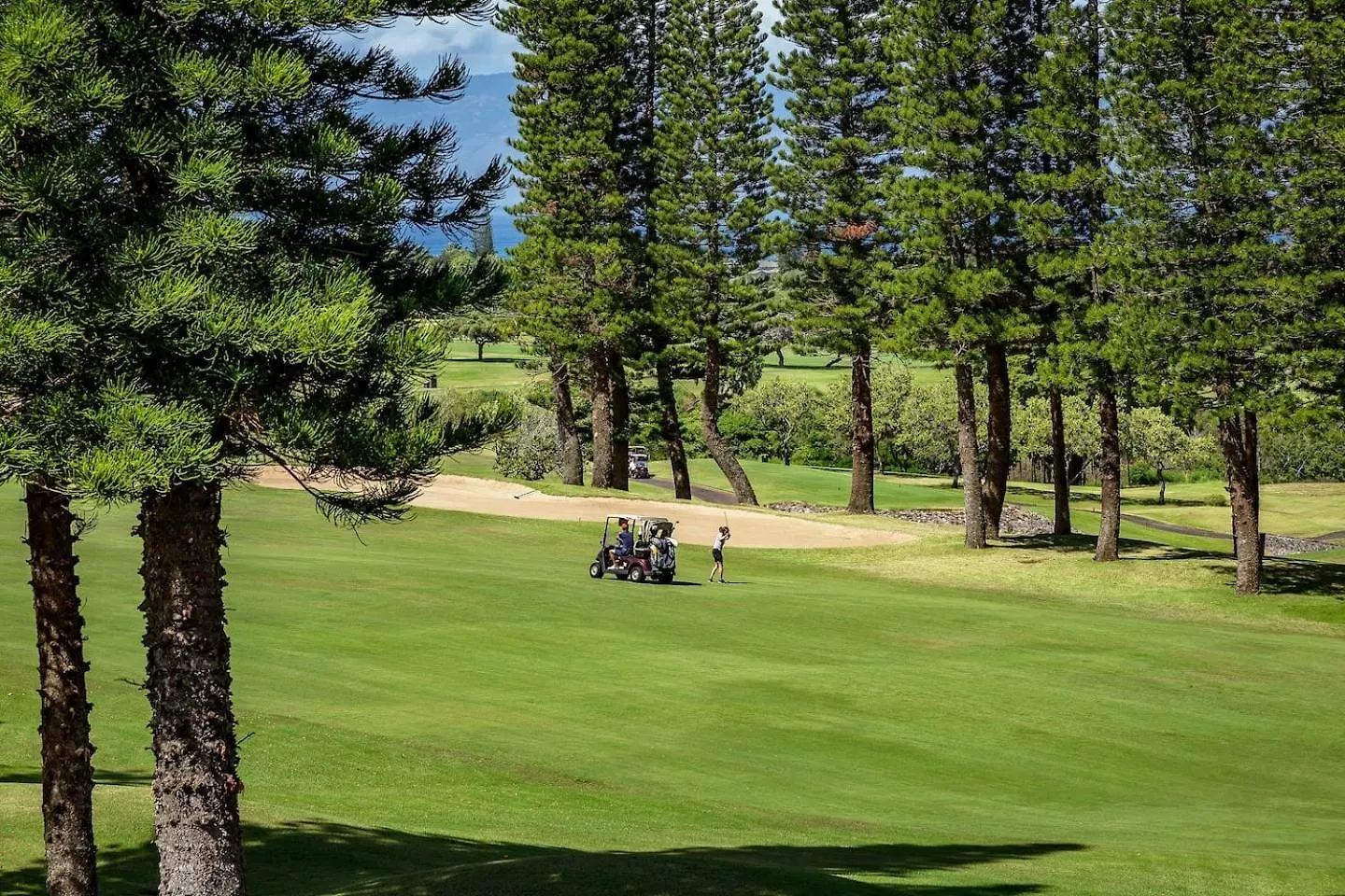 Yonegan Central Maui Getaways Wailuku
